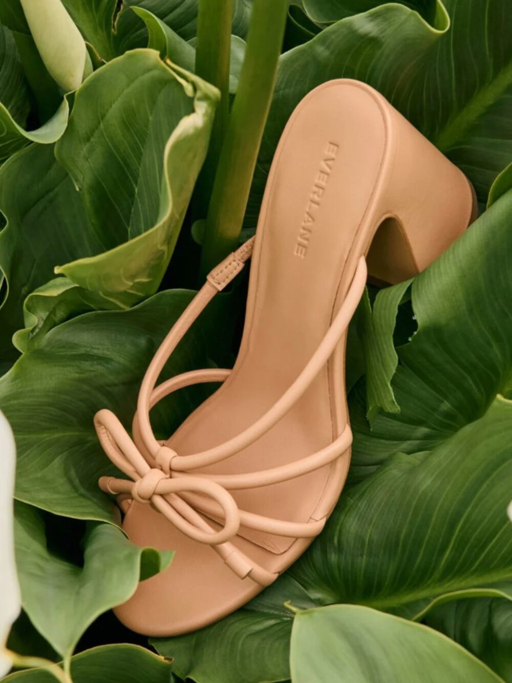 The Bow Heel - Everlane - nude pumps size 8